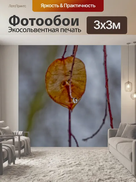 Фотообои Капля дождя
