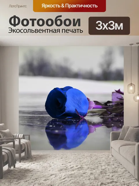 Фотообои Голубая роза на льду