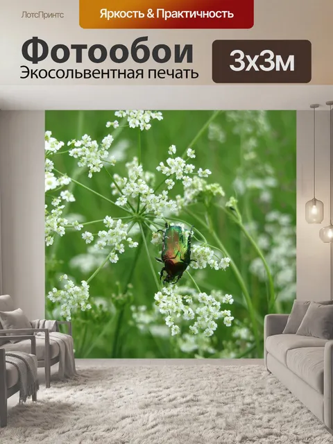 Фотообои Жук