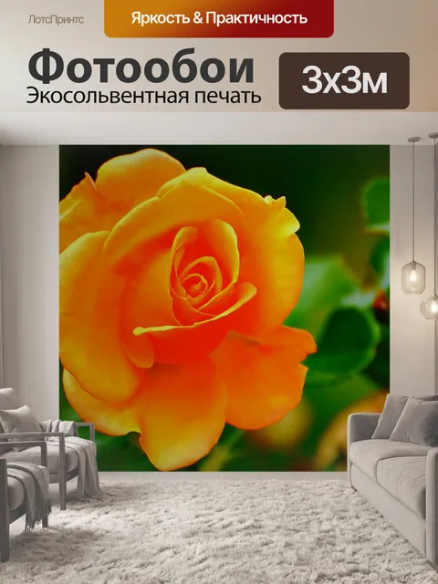 Фотообои Роза