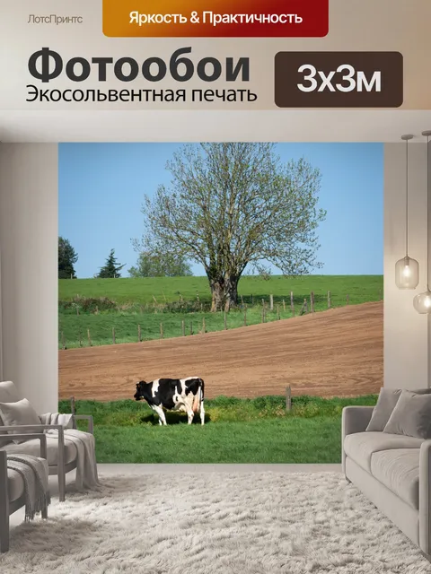 Фотообои Корова, крупный рогатый скот, млекопитаю