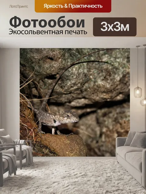 Фотообои Смотреть