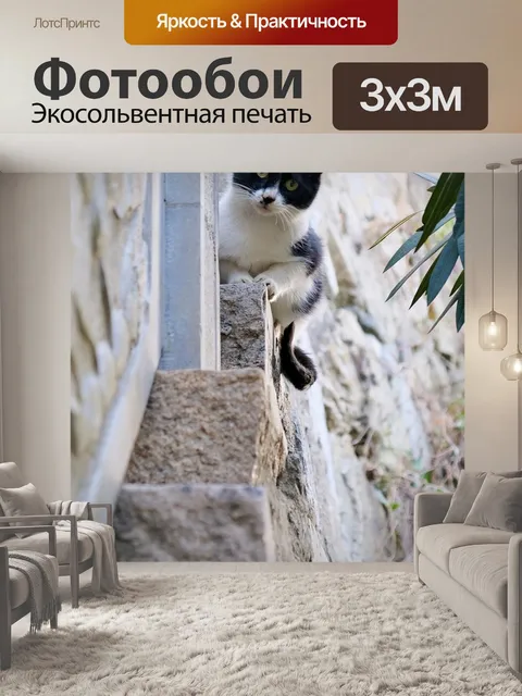 Фотообои Кот