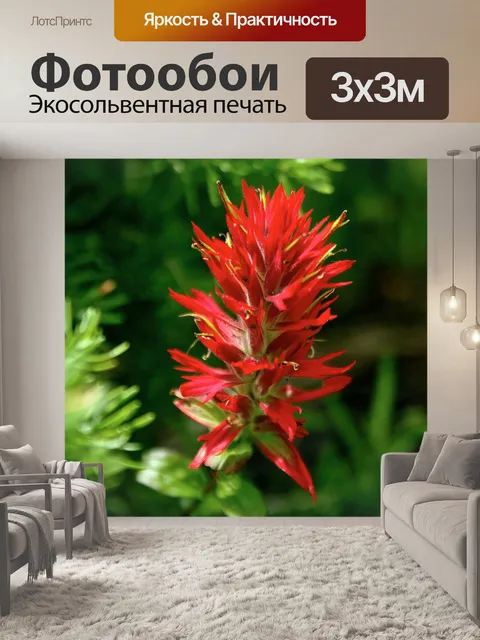Фотообои Индийская кисть