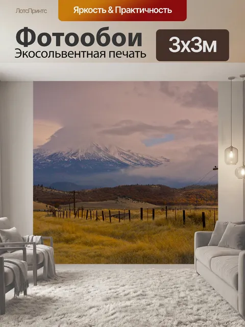Фотообои Калифорния