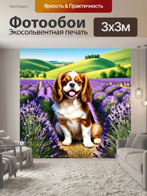 Фотообои кавалер кинг чарльз спаниель