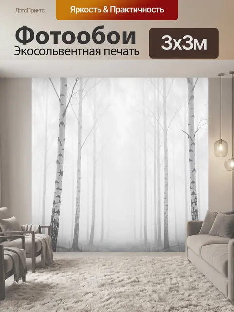 Фотообои Туманный берёзовый лес