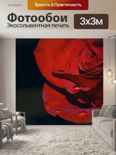 Фотообои Красная роза