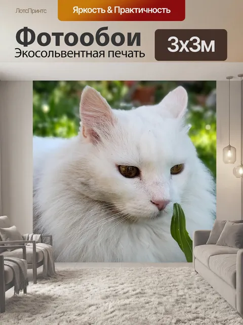 Фотообои Белый кот