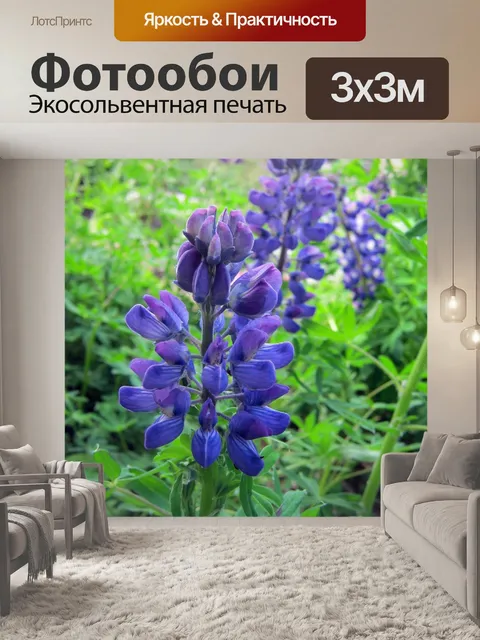 Фотообои Люпин