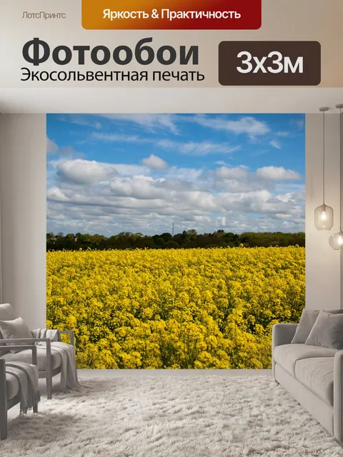 Фотообои Field Of Yellow канолы