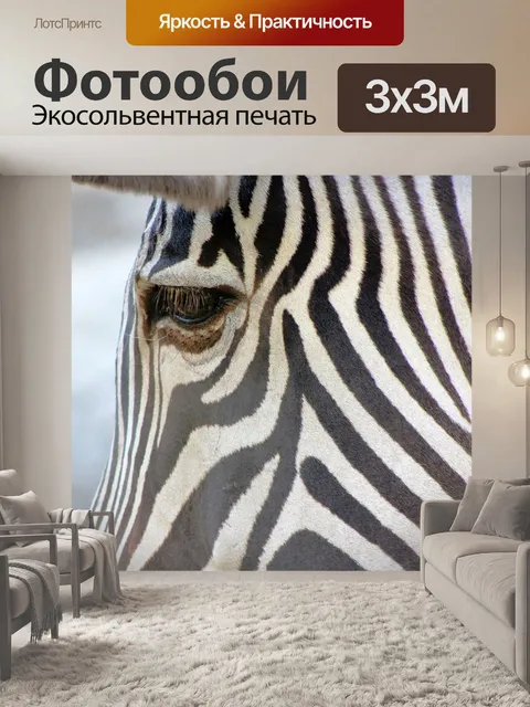 Фотообои Зебра