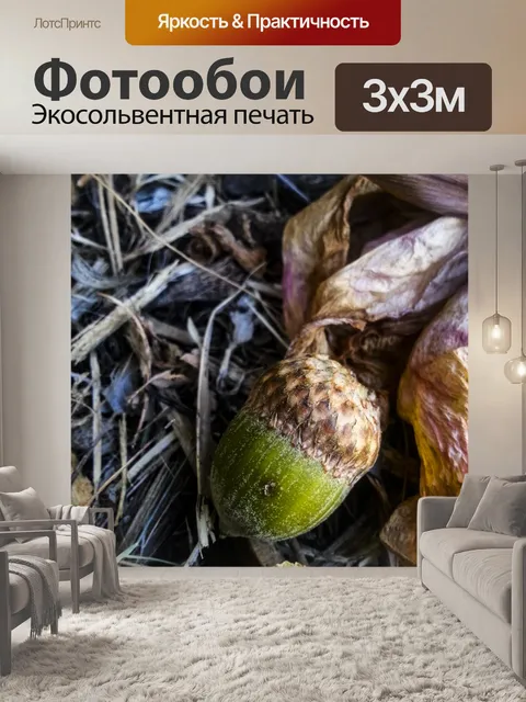 Фотообои Желудь в траве