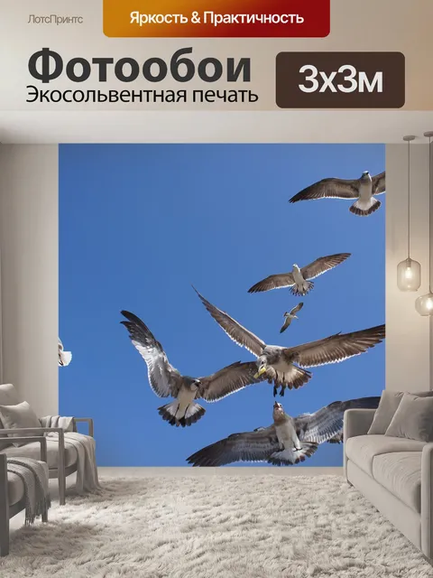 Фотообои Птицы