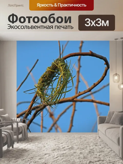 Фотообои кольцо из плетеной травы в основе гнезда