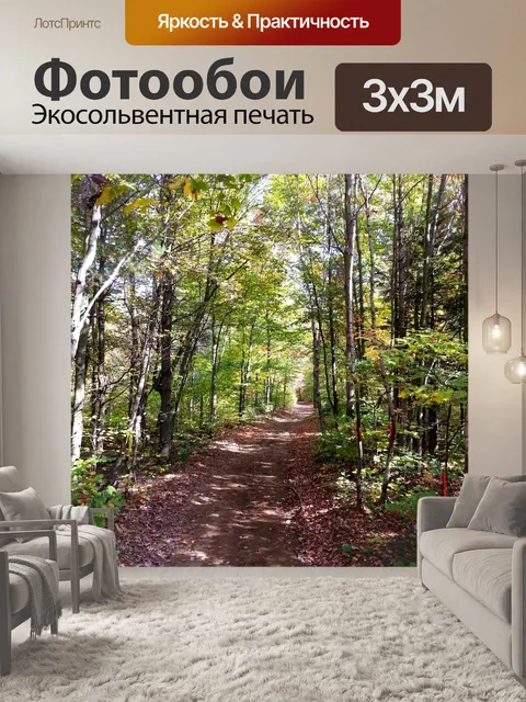 Фотообои Трейл в лесу