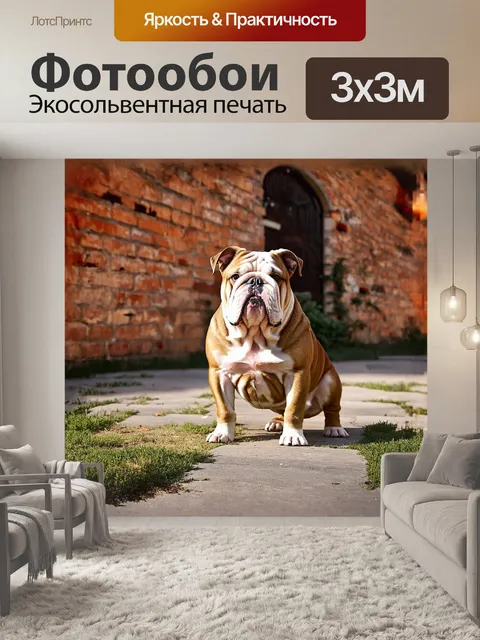 Фотообои обратите внимание на статного английского бульдога, позирующего на фоне старинного кирпичного фасада