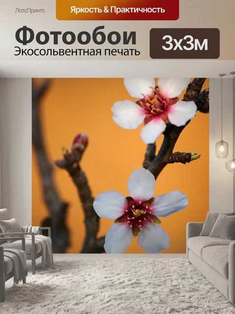 Фотообои Светло-розовый цветок фруктового дерева