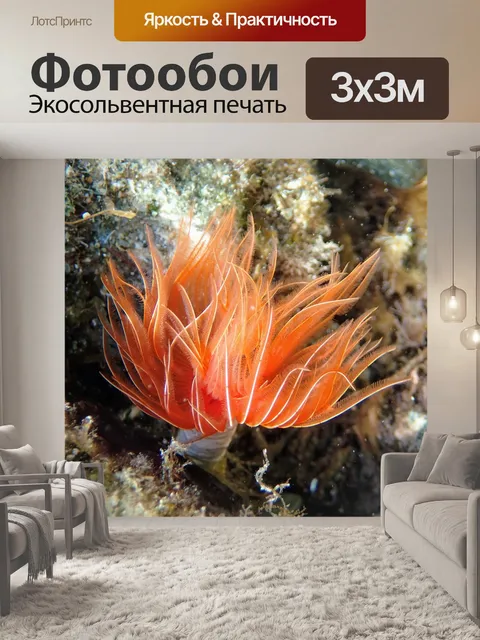 Фотообои Спирограф