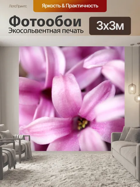 Фотообои Розовый гиацинт II