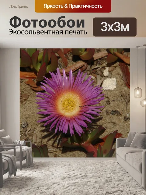 Фотообои Цветок