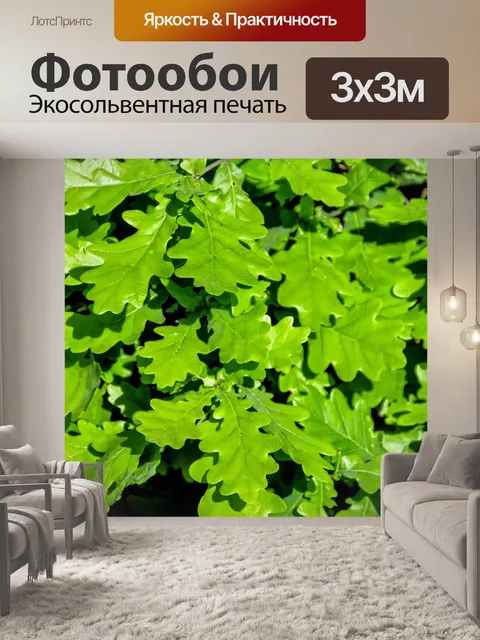 Фотообои Дубовые листья