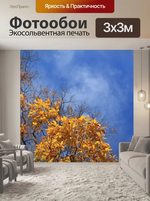Фотообои Падение
