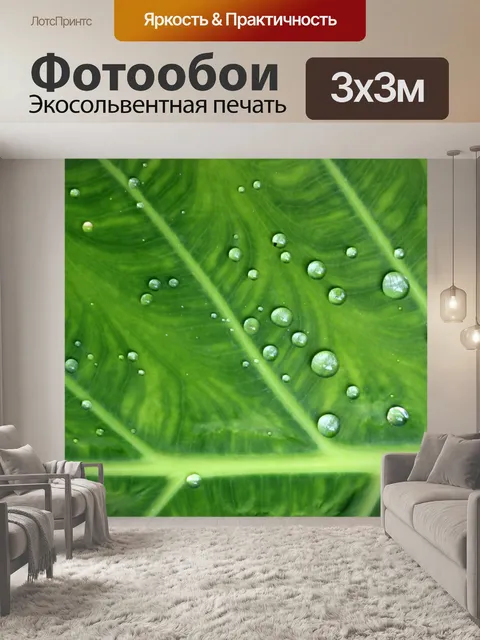 Фотообои Капли воды на зеленом листе