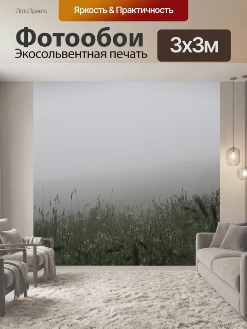 Фотообои Расчистка