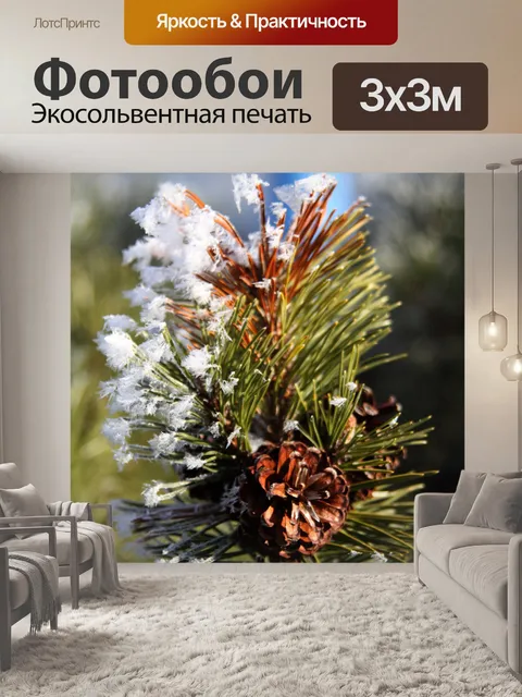 Фотообои Сосна