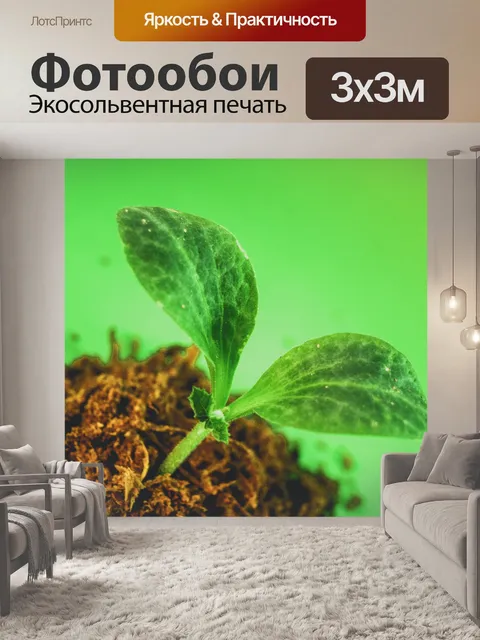 Фотообои Молодой завод деревьев
