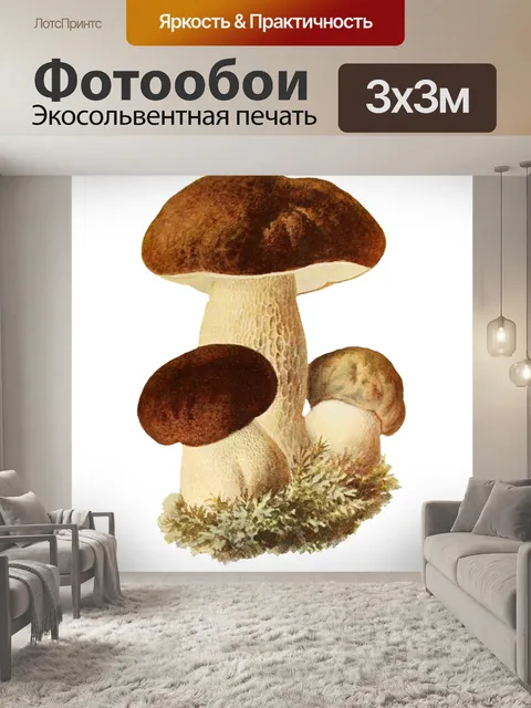 Фотообои Грибы Винтажное Искусство