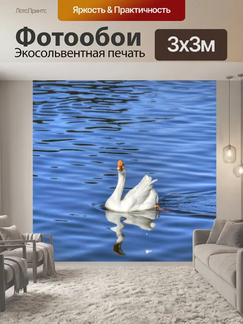 Фотообои Гусь-лебедь