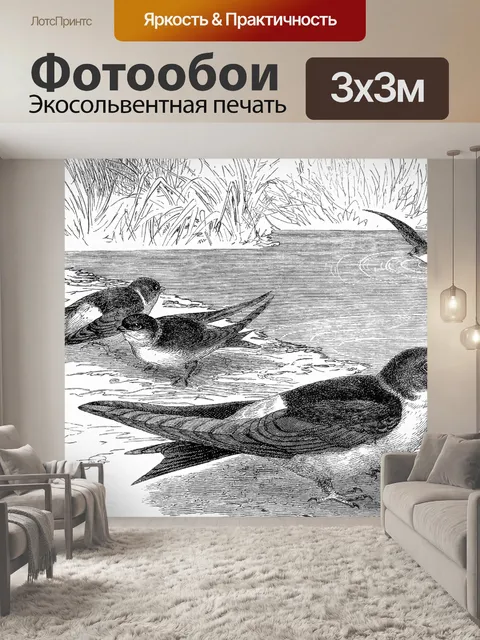 Фотообои Sand Martins