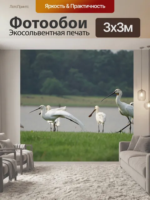 Фотообои Стая птиц