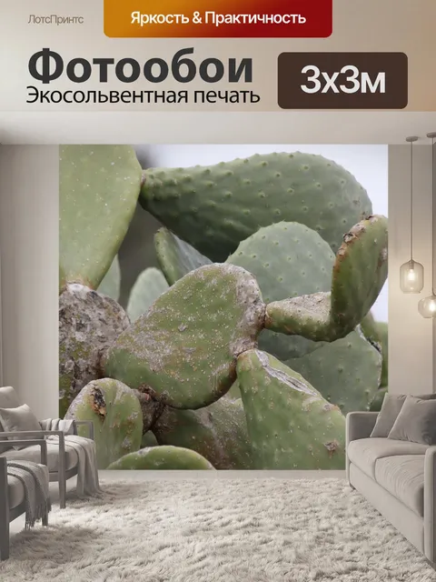 Фотообои Колючее дерево