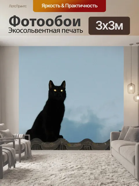 Фотообои Кот