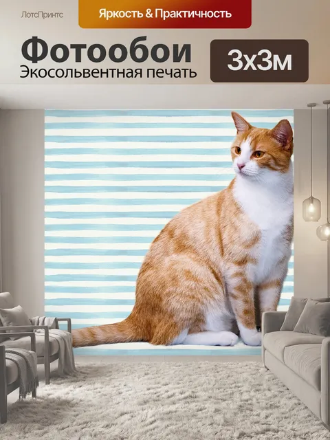 Фотообои Кошка, имбирь и белый