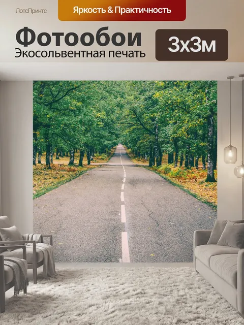 Фотообои Лесная дорога впереди