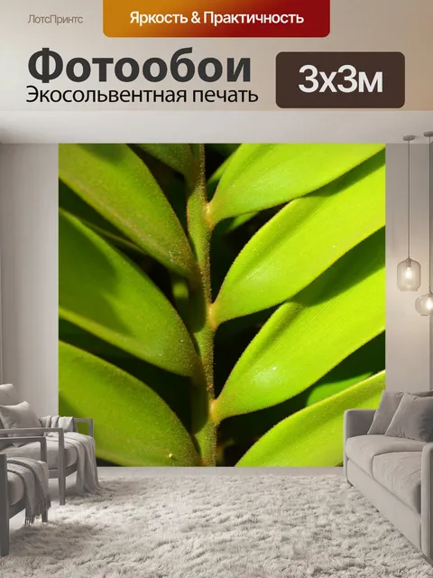 Фотообои Вертикальный баланс листа