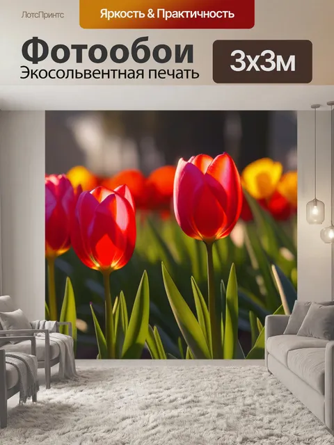 Фотообои тюльпаны в свете утреннего солнца
