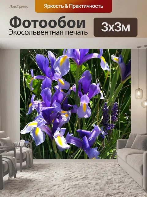 Фотообои Ирис