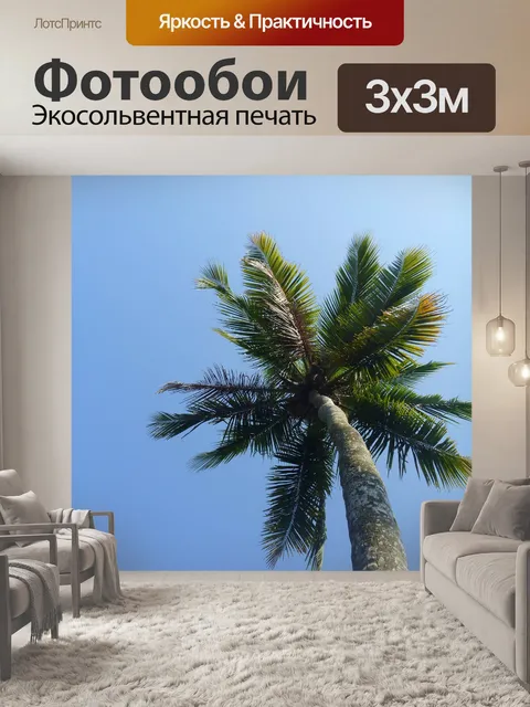 Фотообои Пальма
