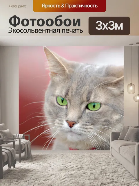 Фотообои кошка с зелеными глазами