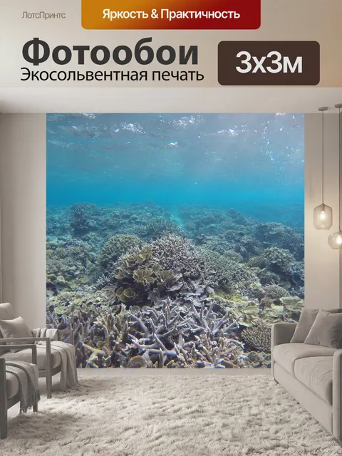 Фотообои Кораллы