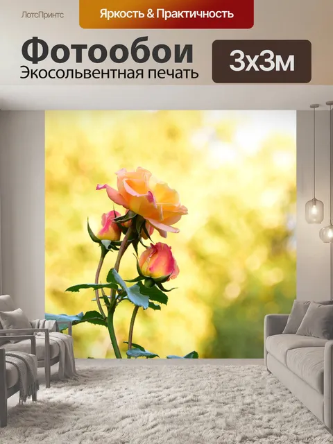 Фотообои Розы