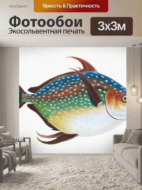 Фотообои Рыбы