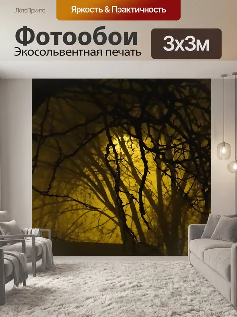 Фотообои My Oh туман!