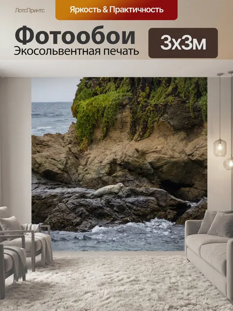 Фотообои Печать на скалах в океане