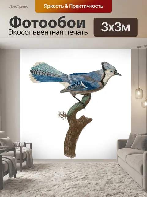 Фотообои Иллюстрация винтажного искусства птиц
